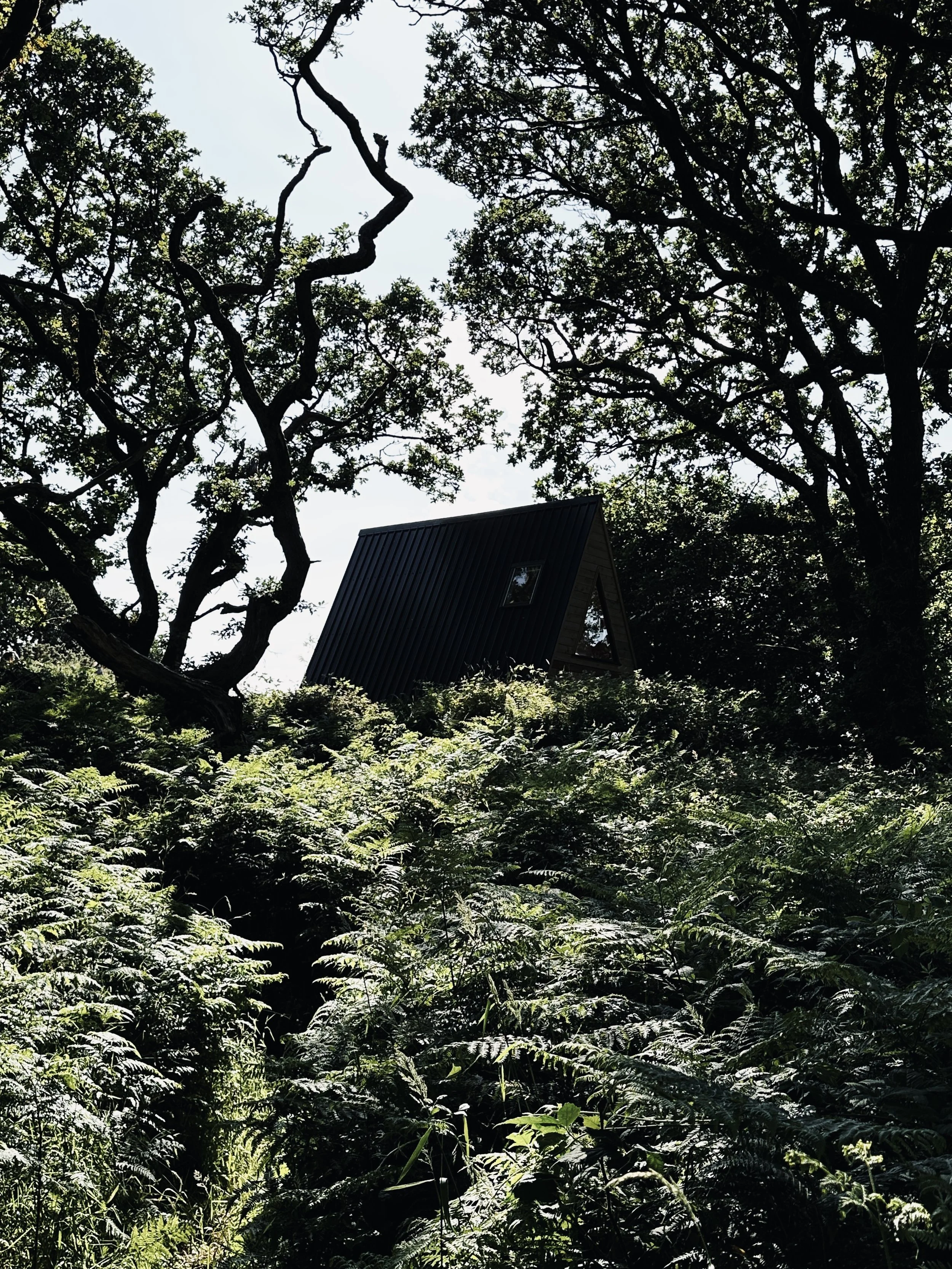 A small house with a black roof is situated among lush green trees and dense foliage, with a partly cloudy sky in the background.