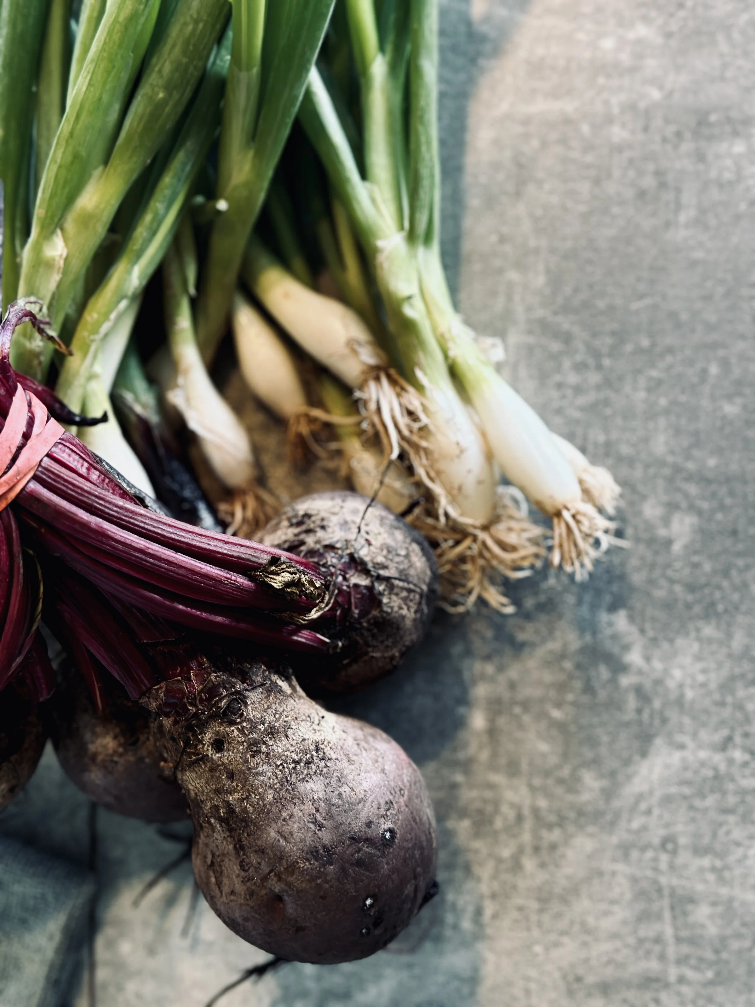 Fresh beets with green tops on a textured gray surface.