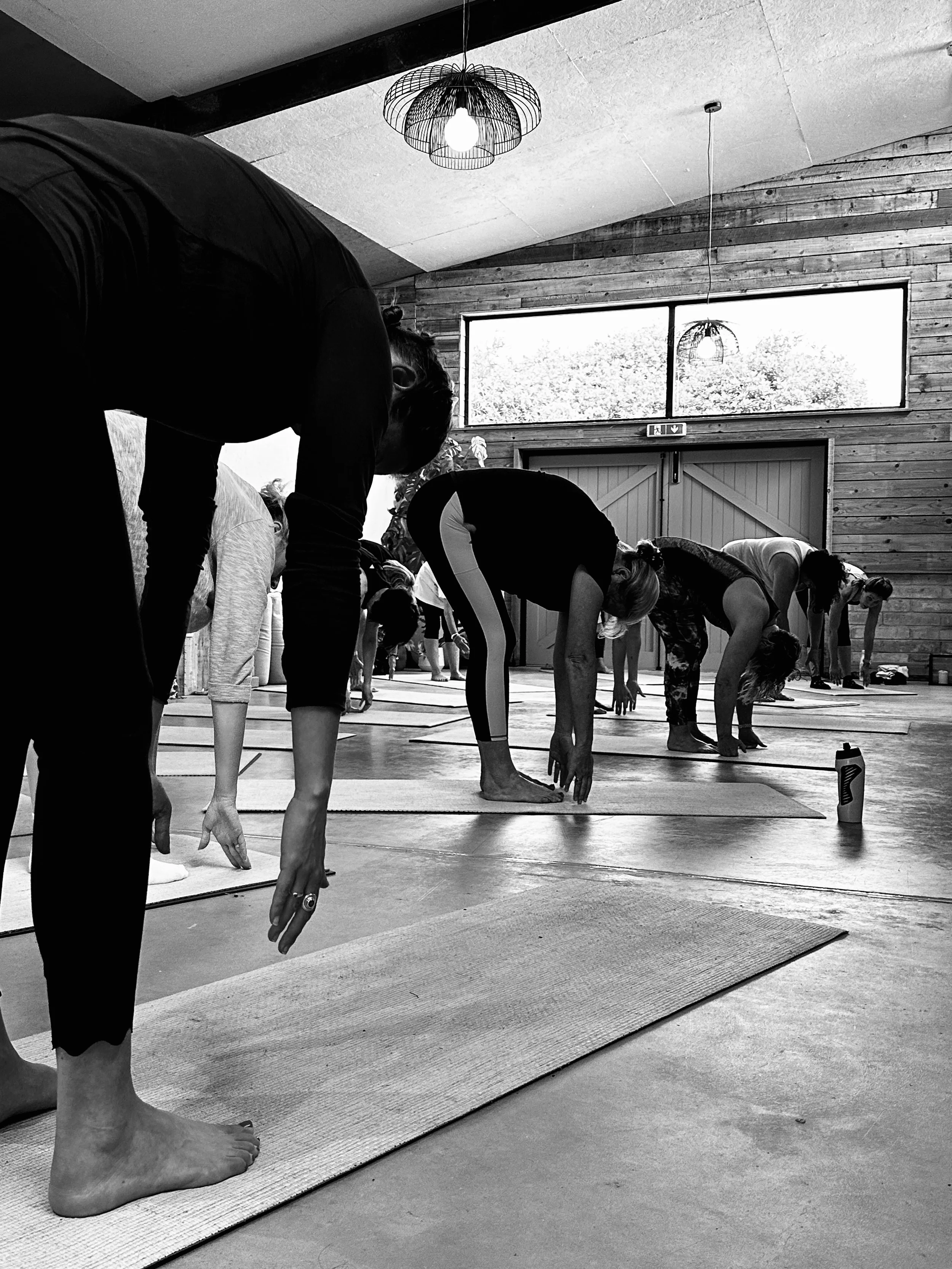 People practicing yoga in a studio, bending forward with hands reaching towards the ground, on yoga mats, with large windows and wooden walls in the background.