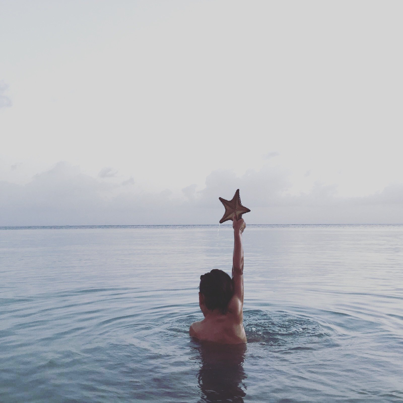Person in the water holding a starfish-shaped object above their head with a calm ocean and cloudy sky in the background.