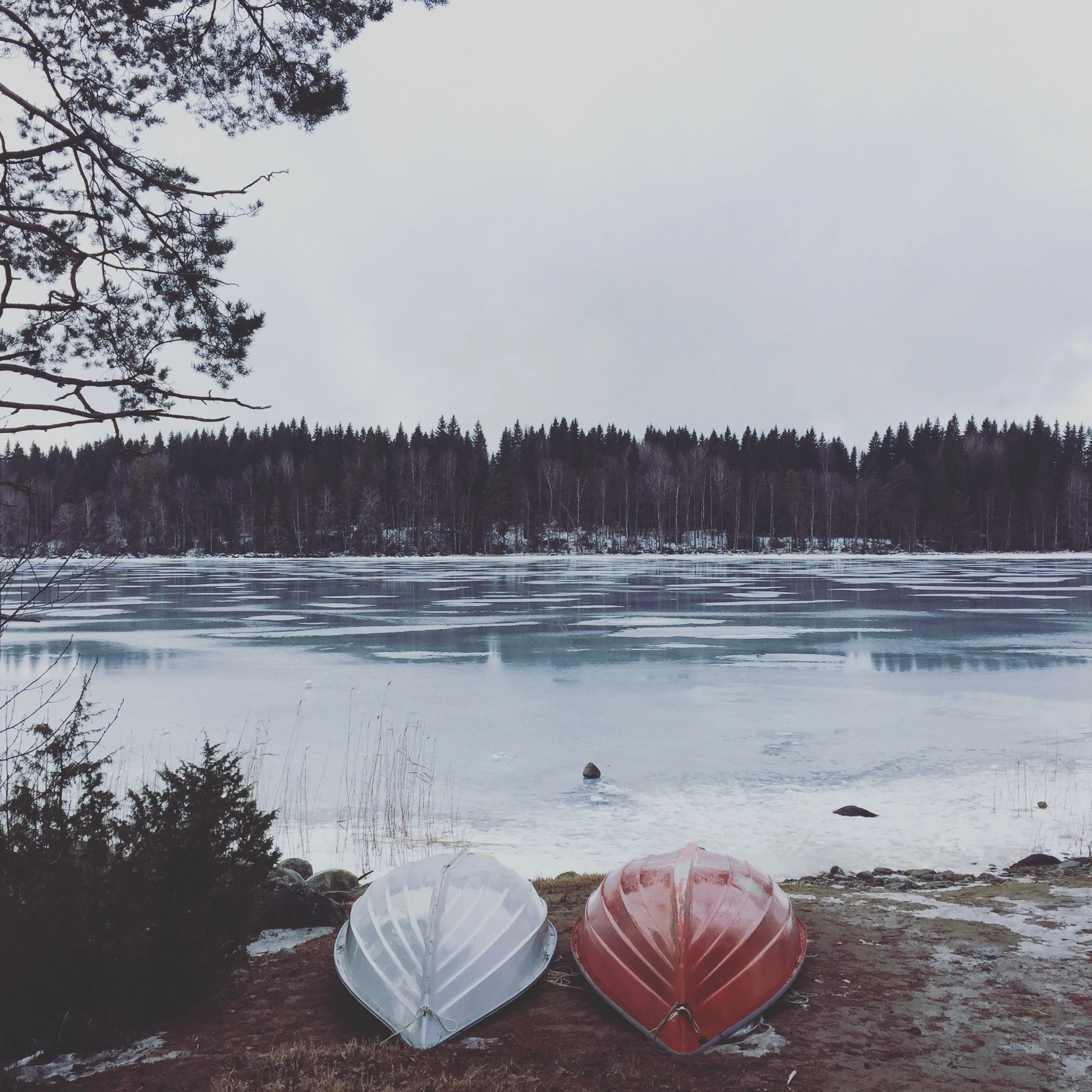 Two canoes, one white and one red, resting on the shore by a frozen lake with a wooded forest in the background and an overcast sky.