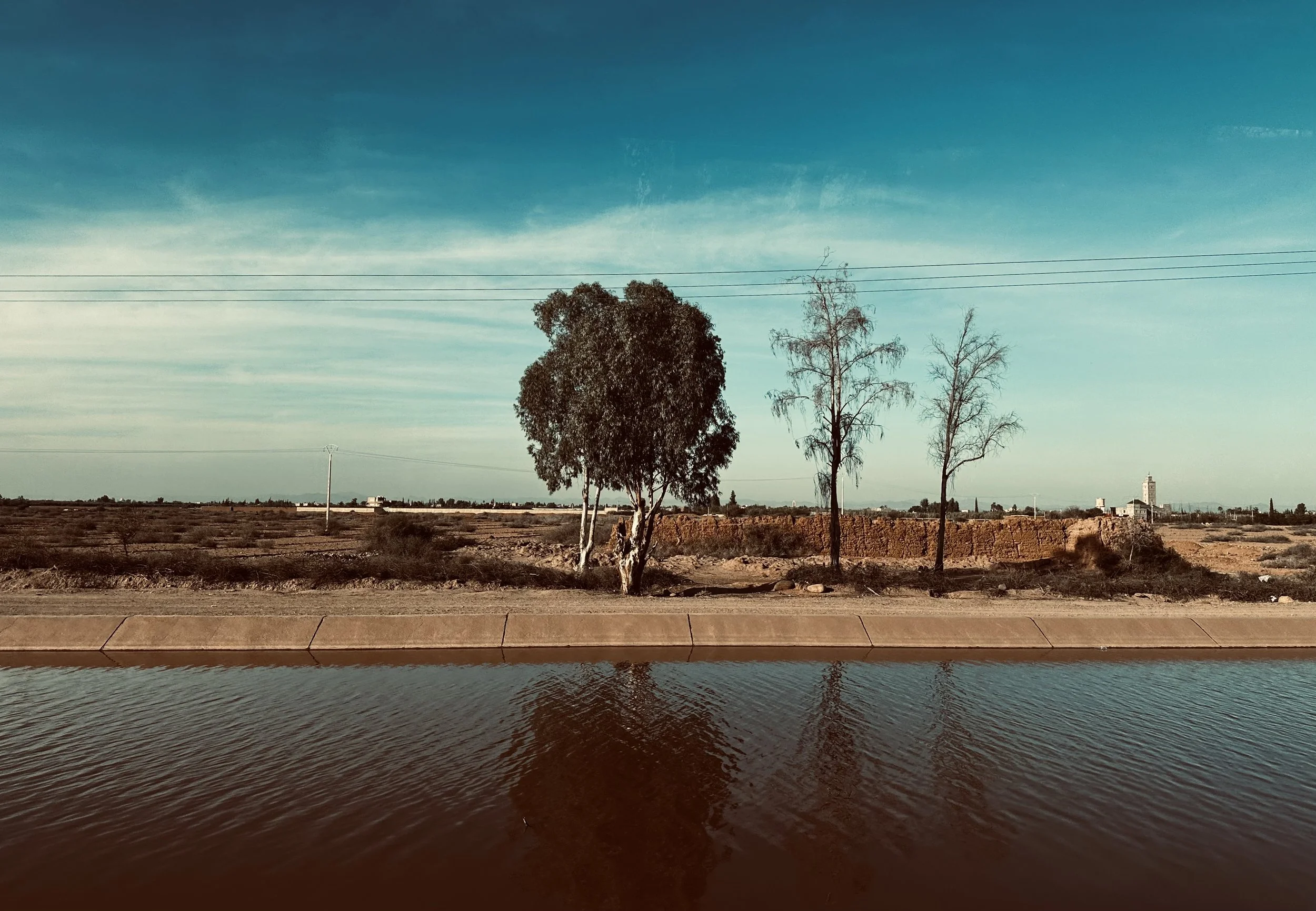 A cityscape with a canal or pond in the foreground, three trees along the bank, power lines overhead, and a building with a tower in the distance under a blue sky.