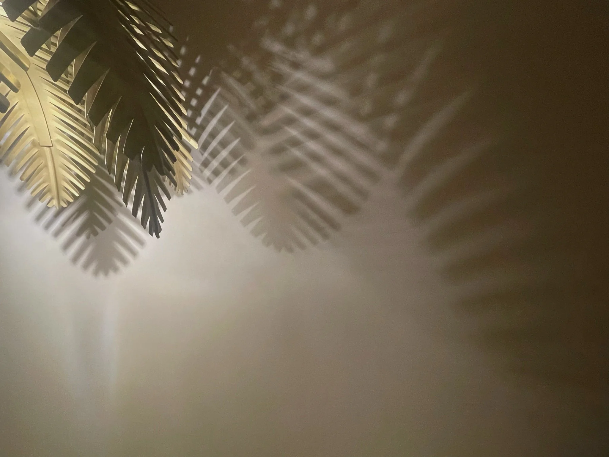 Shadows of metallic palm leaves cast on a smooth wall.