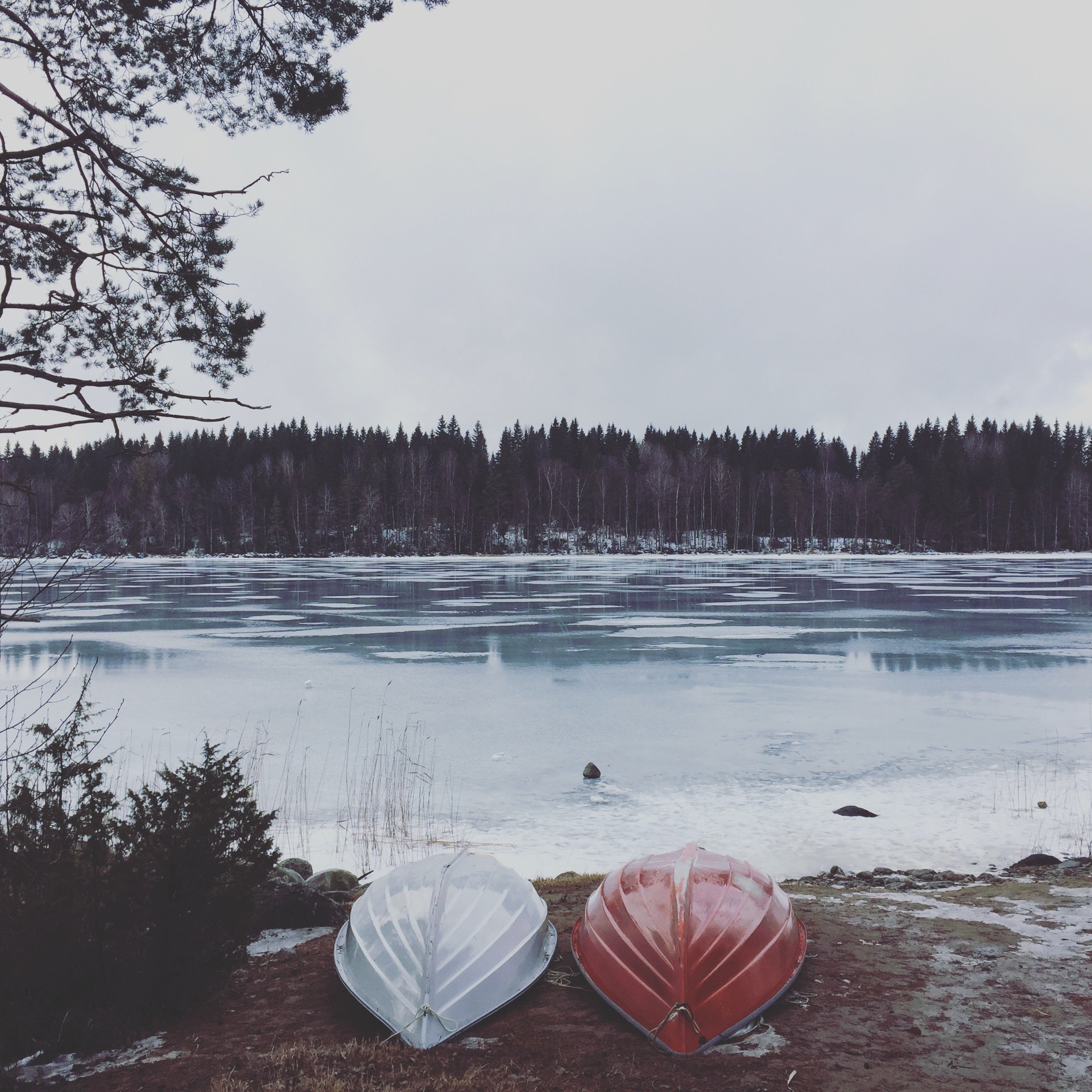 Two boats, one white and one red, upside down on a muddy shore near a frozen lake, with a forested area in the background and overcast sky.