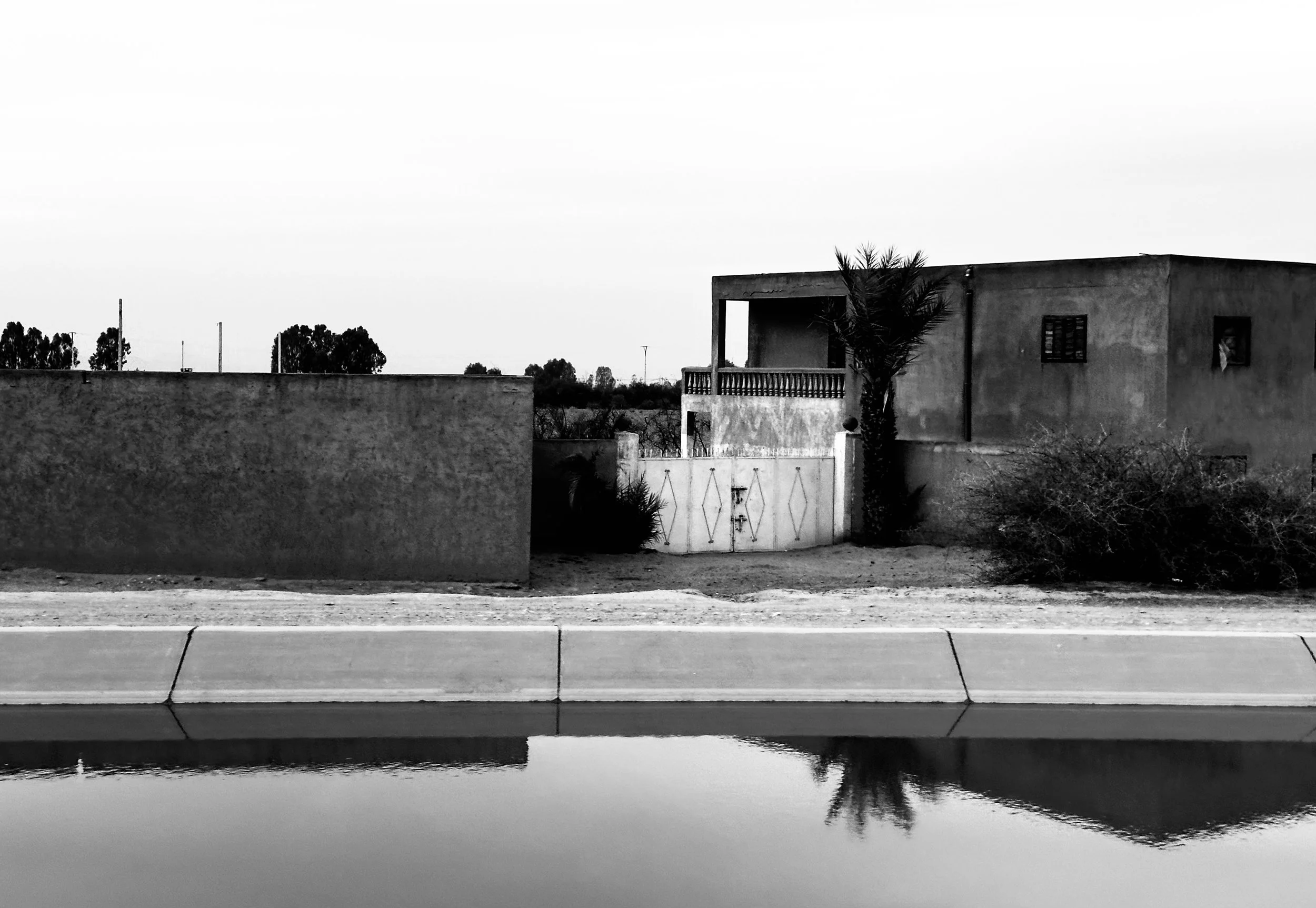 A black and white photo of a residential building with a palm tree, a fence with a gate, and a body of water reflecting the scene in the foreground.