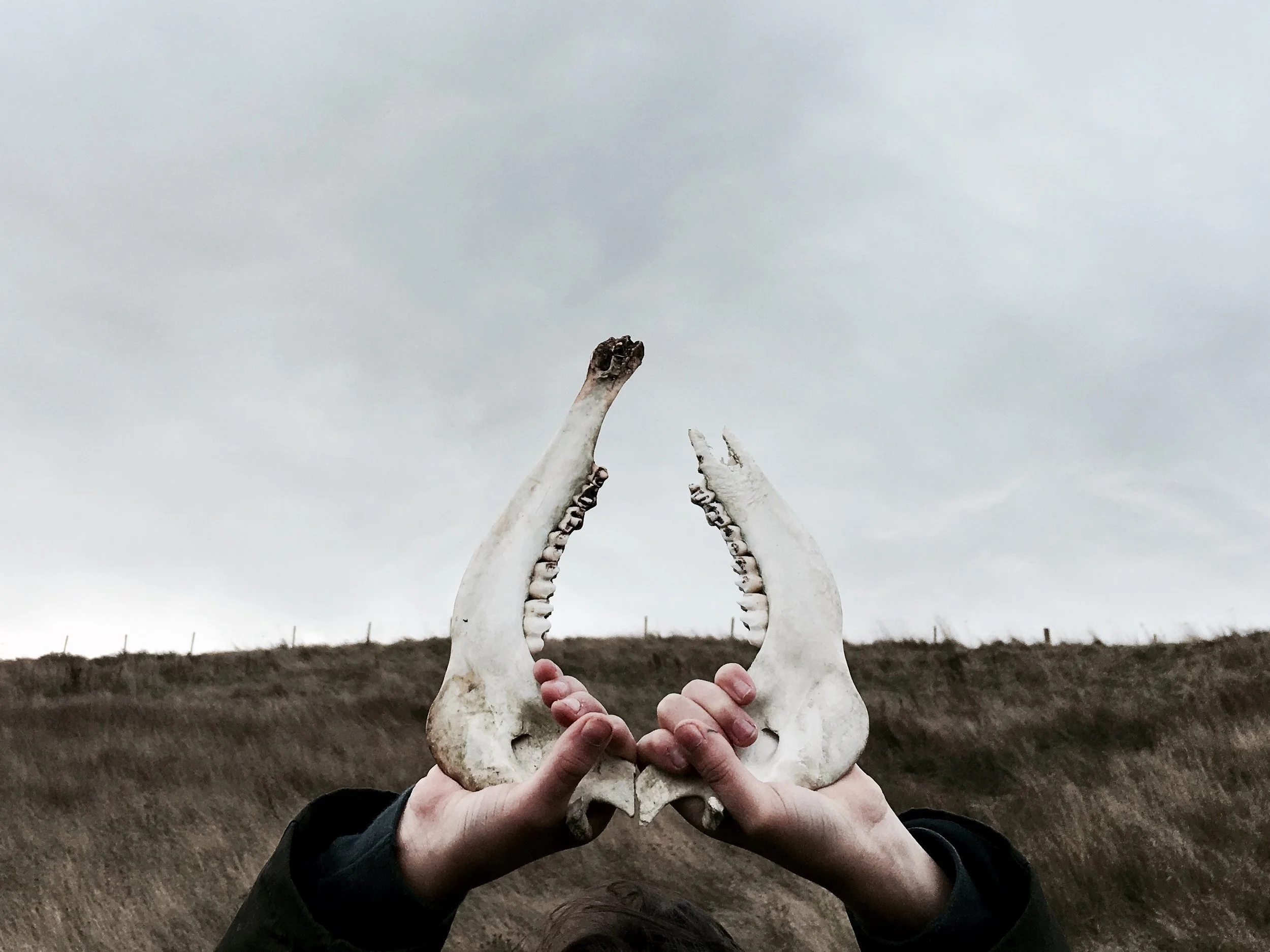 Person holding two animal jawbones up against a cloudy sky and hilly landscape.