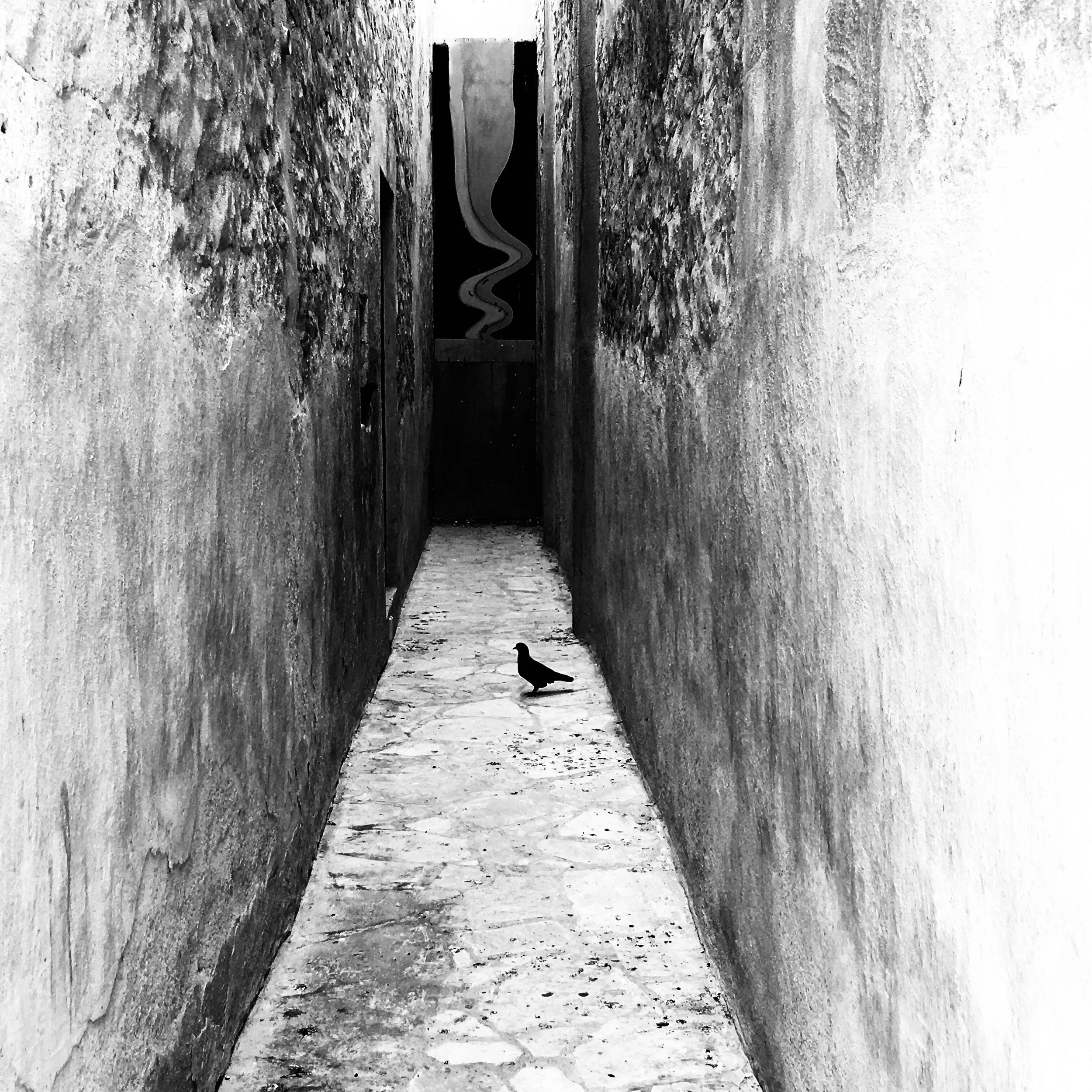 A narrow alleyway with rough textured walls on either side and a bird standing on the ground in the middle, with a dark opening and abstract art visible at the end of the alley.
