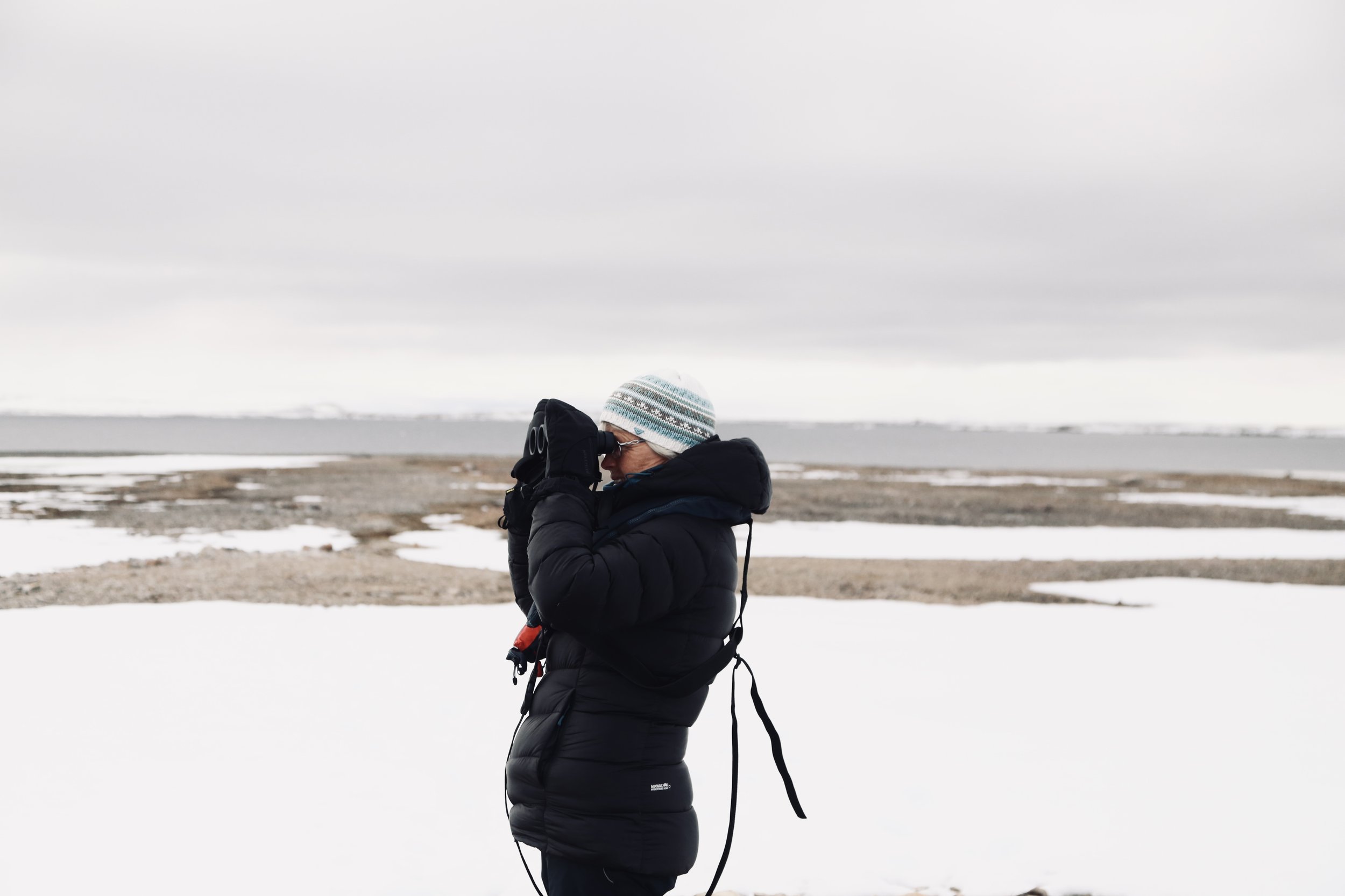 Person wearing a black winter coat and knit hat viewing through binoculars in snowy, cold landscape.
