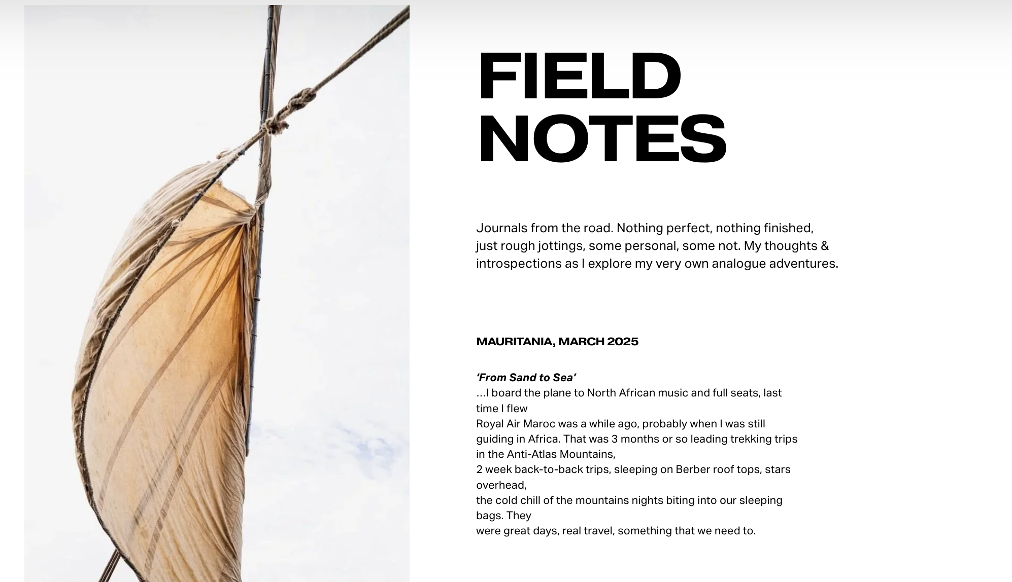 Close-up of a torn paper sailboat on a white background with journal text titled 'Field Notes'.