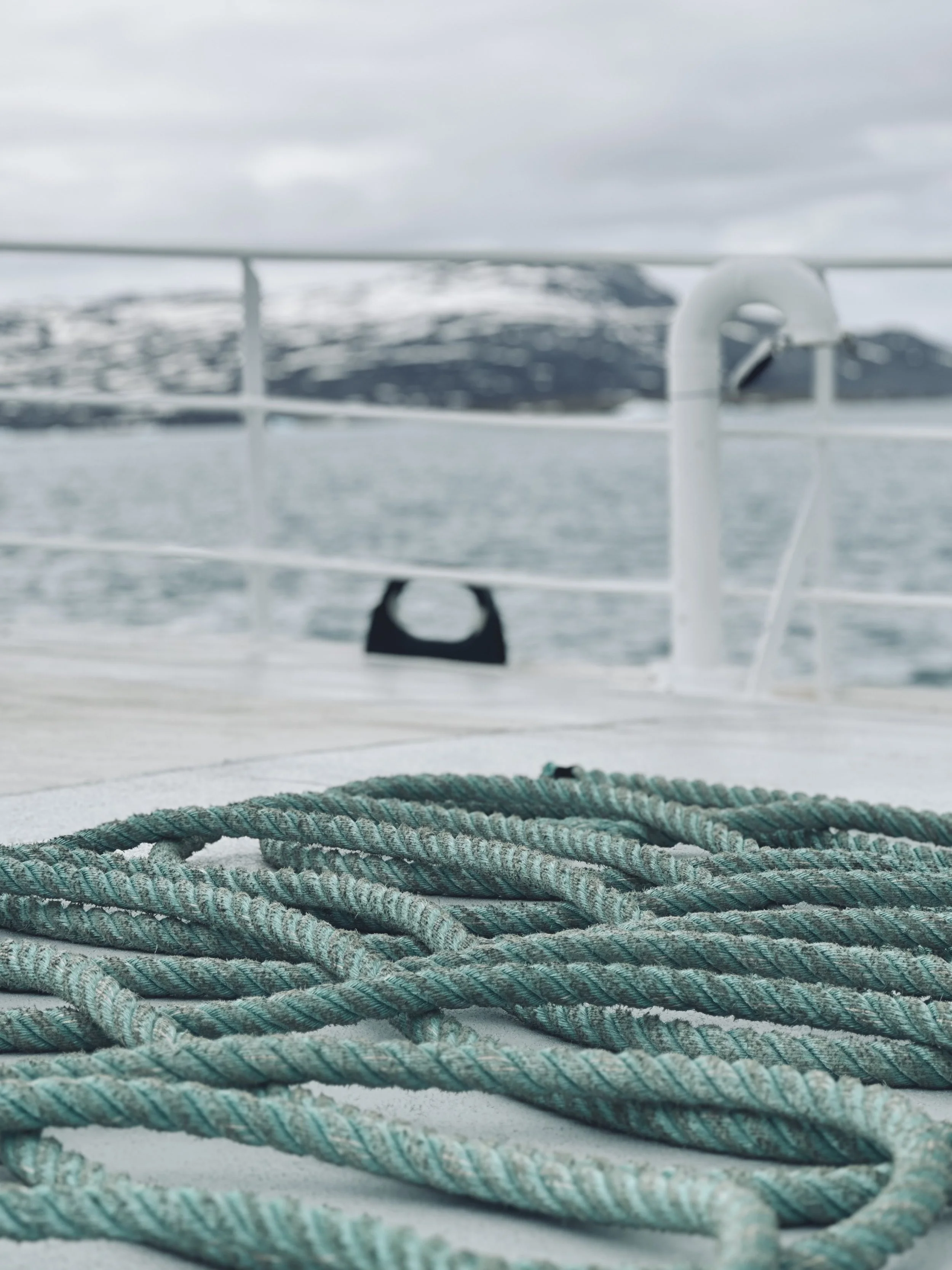 Close-up of nautical ropes on a boat deck with a swan-shaped mooring cleat, water and snow-covered mountains in the background.