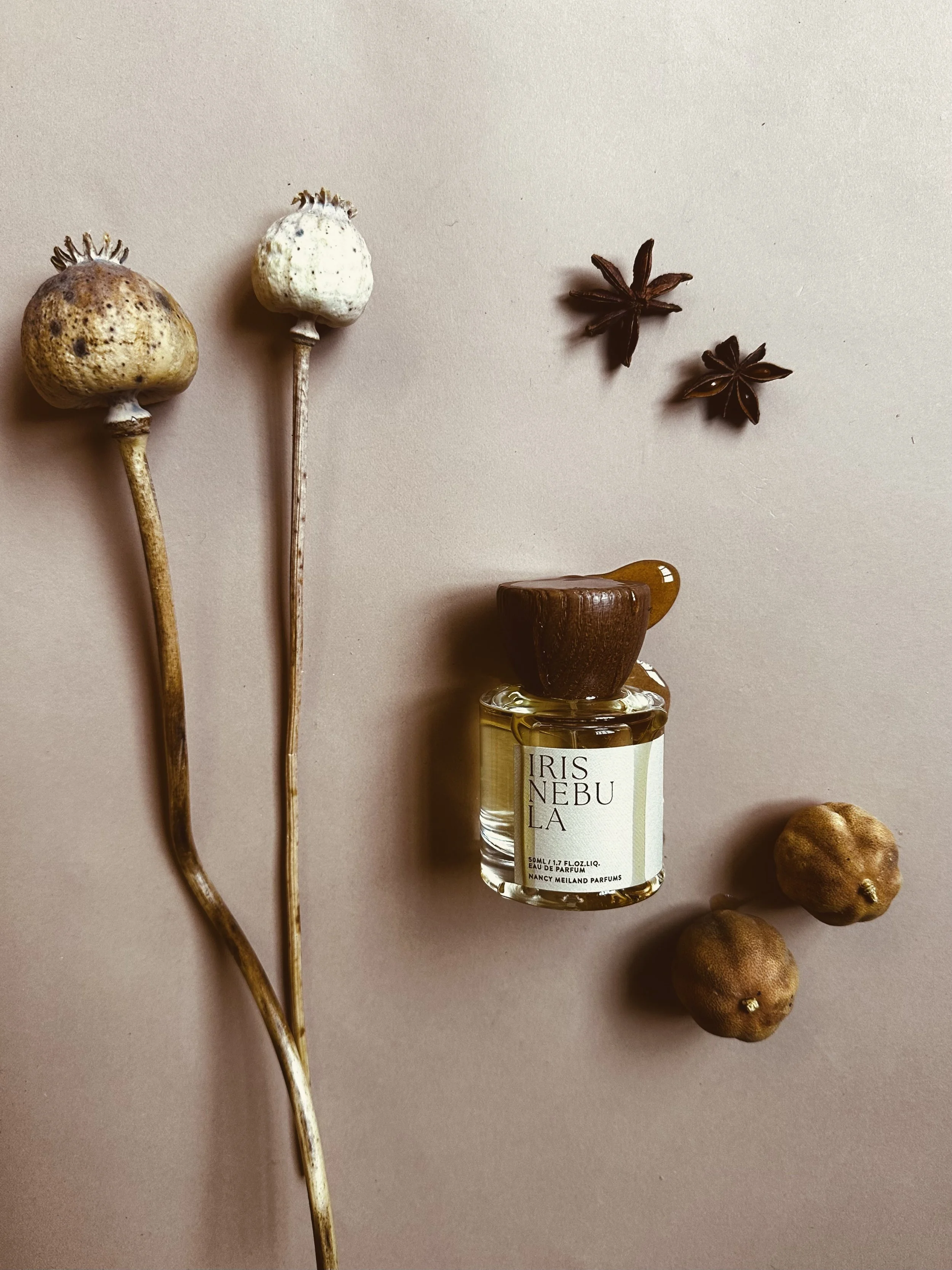 Iris Nebula Eau de Parfum by Nancy Meiland — niche fragrance styled with dried poppy heads, star anise and botanicals by MUSE Creative Studio Brighton