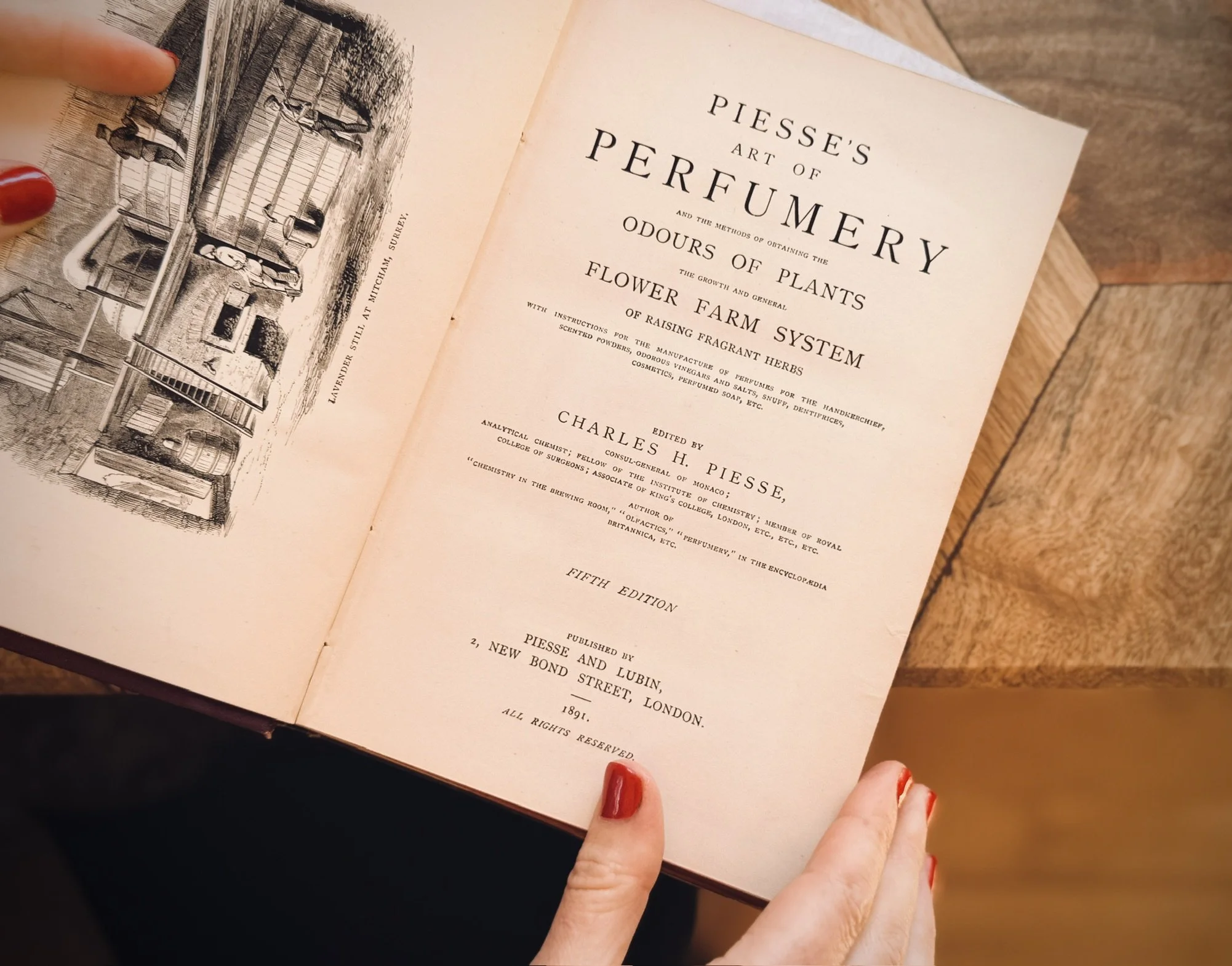 Nancy Meiland perfumer drawing nature inspiration — independent fragrance artist featured by MUSE Creative Studio