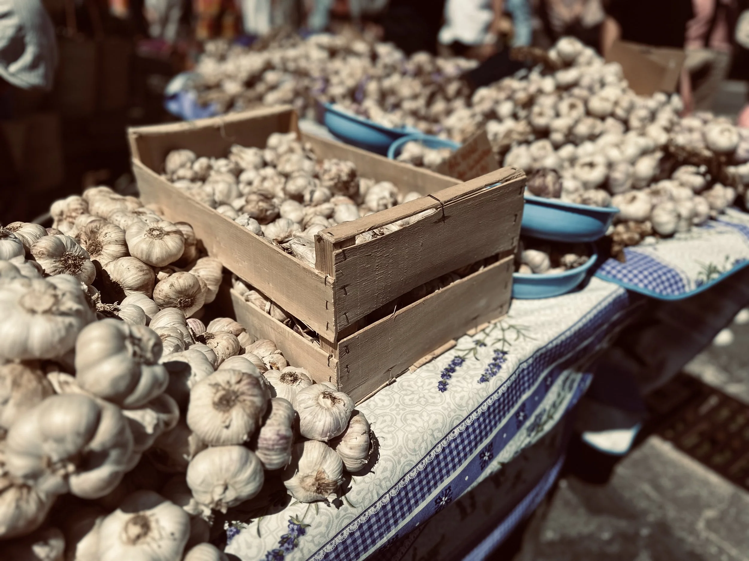 IMG_3008.jpeg