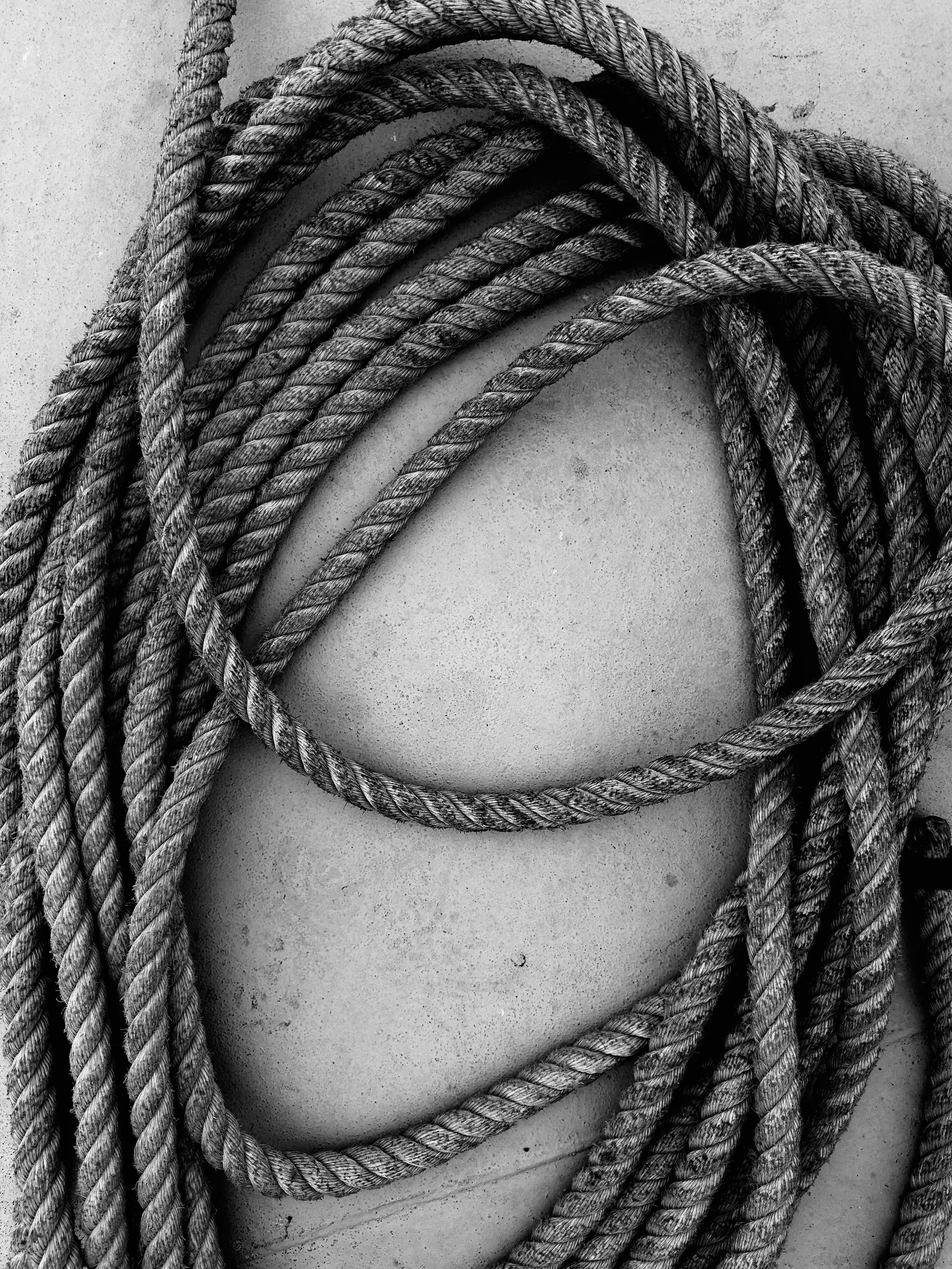Black and white photo of multiple intertwined ropes on a flat surface.