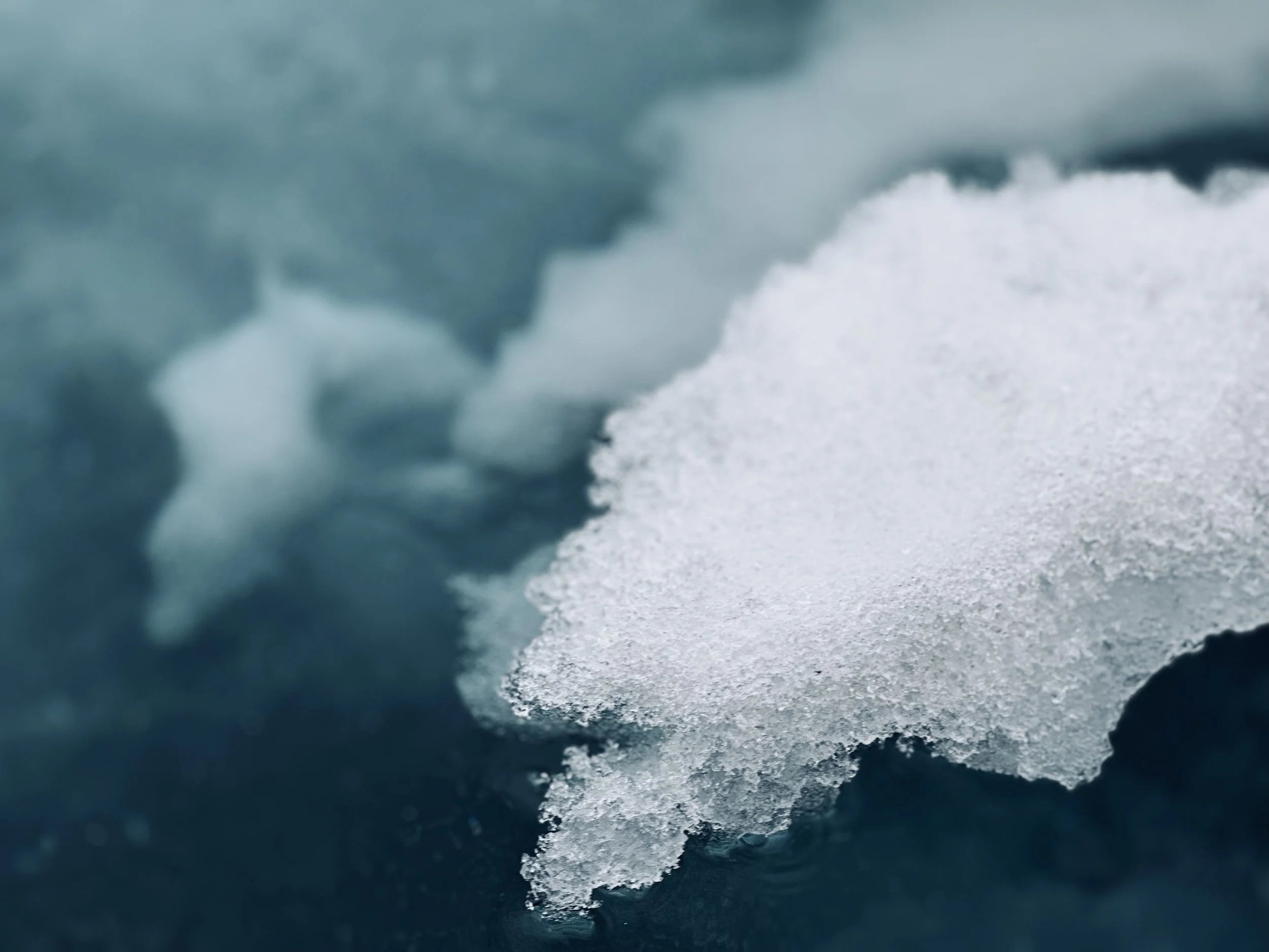 Close-up of a piece of floating ice or snow on the surface of dark ocean water.