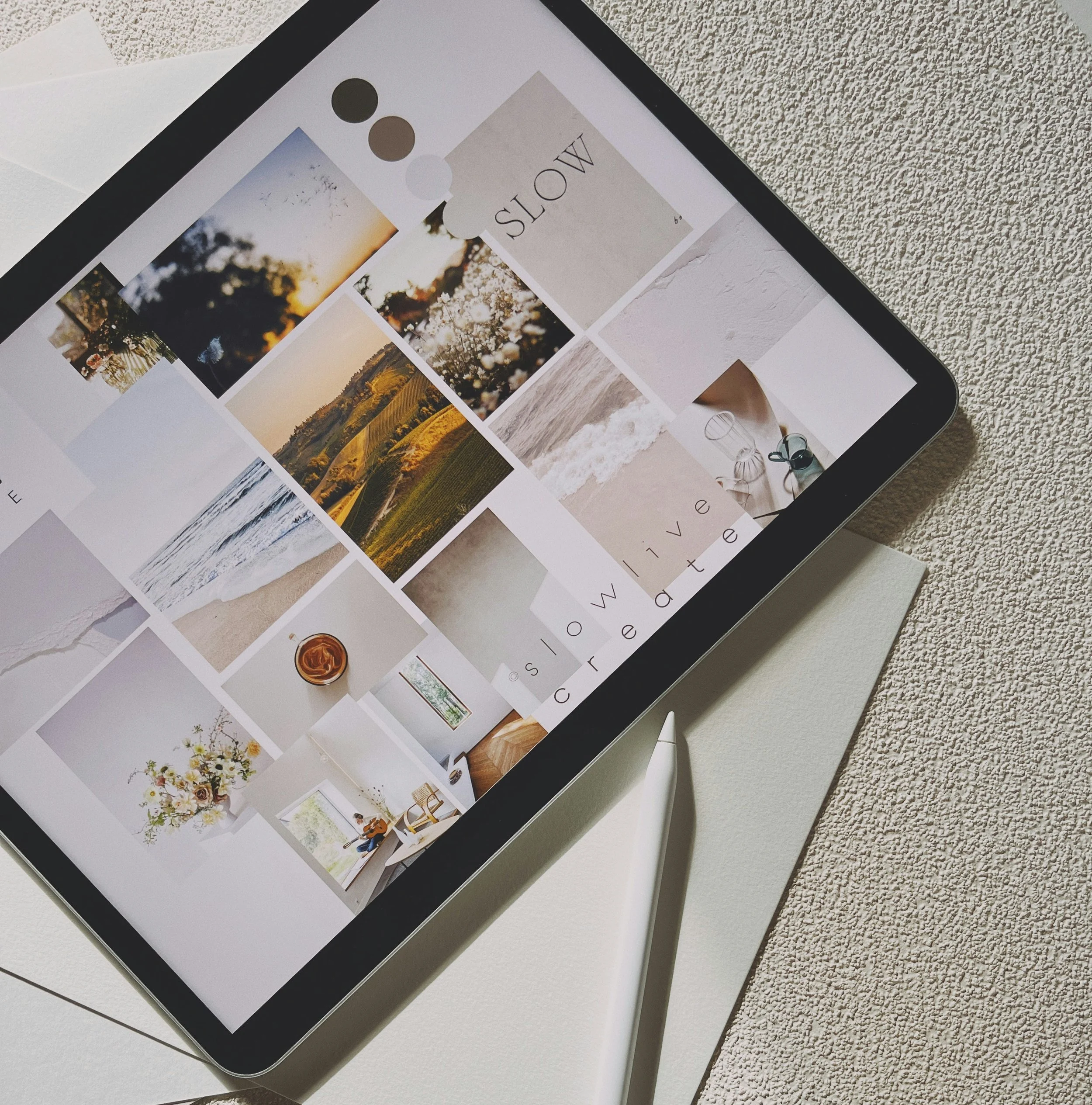 EO and paid media strategy for independent brands — MUSE Creative Studio Brighton