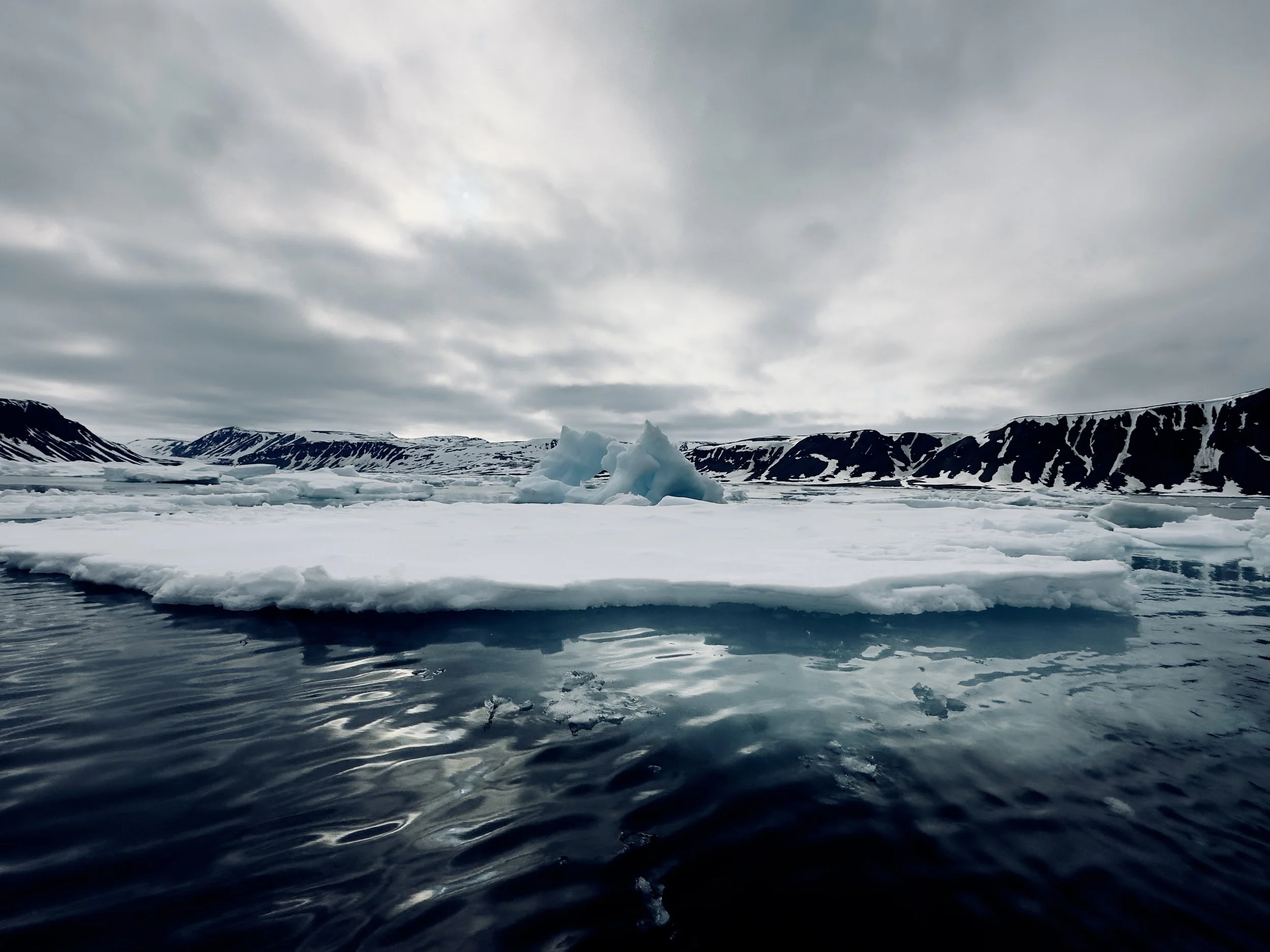 Icebergs floating in dark water with snow-covered mountains and cloudy sky in the background.