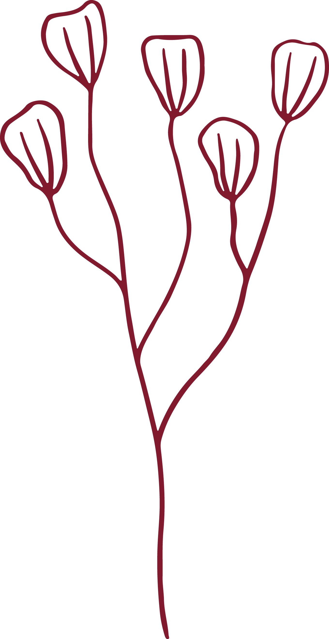 A minimalist line drawing of a flower with six rounded buds on thin, curved stems, drawn in dark red on a black background.