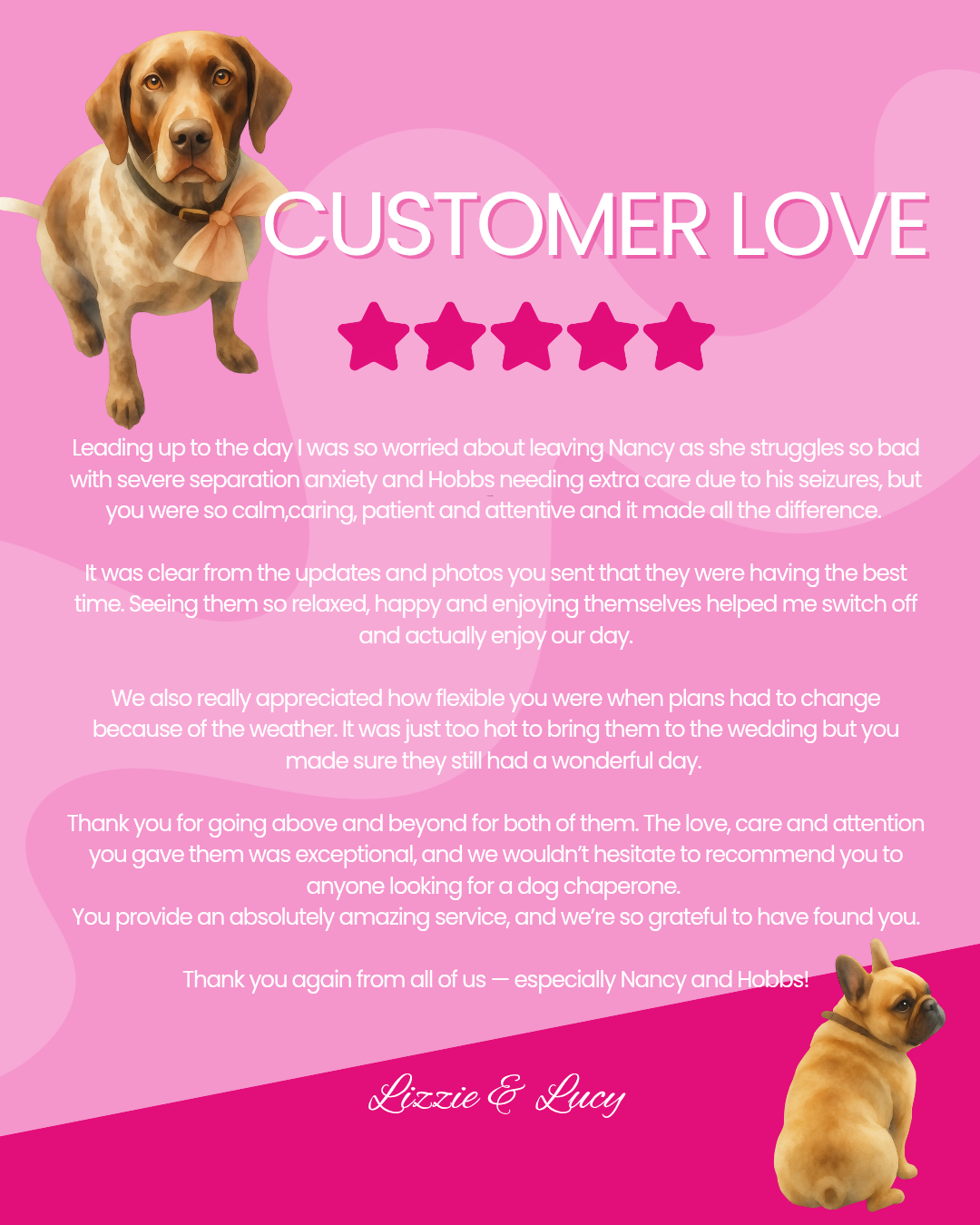 Customer review with a pink background, featuring images of a dog and a sitting pug, and five stars indicating a five-star rating.