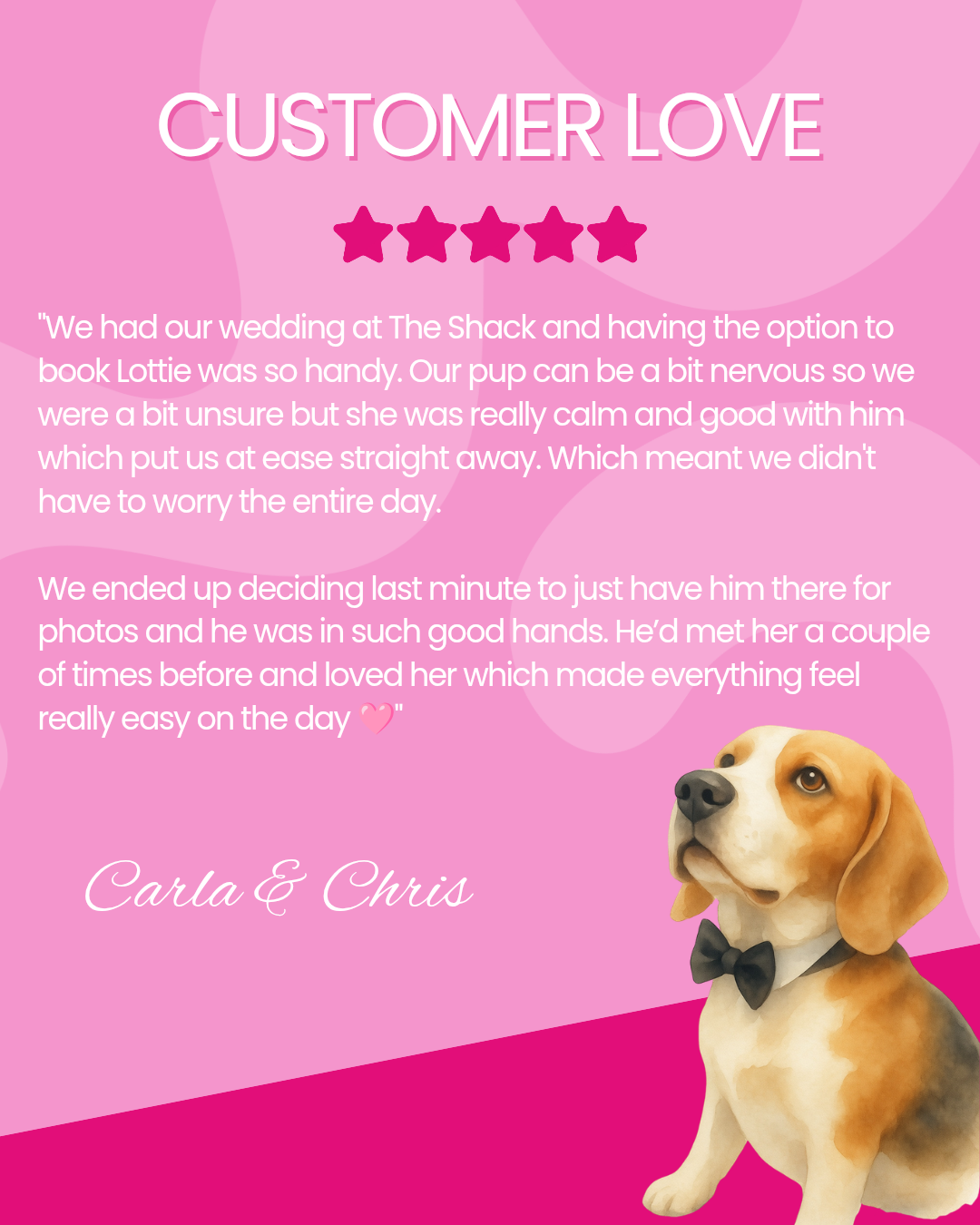 Pink testimonial graphic with a Beagle dog illustration wearing a black bow tie at the bottom right, five star ratings at the top center, and white cursive text with a personal review about a wedding experience involving a dog.