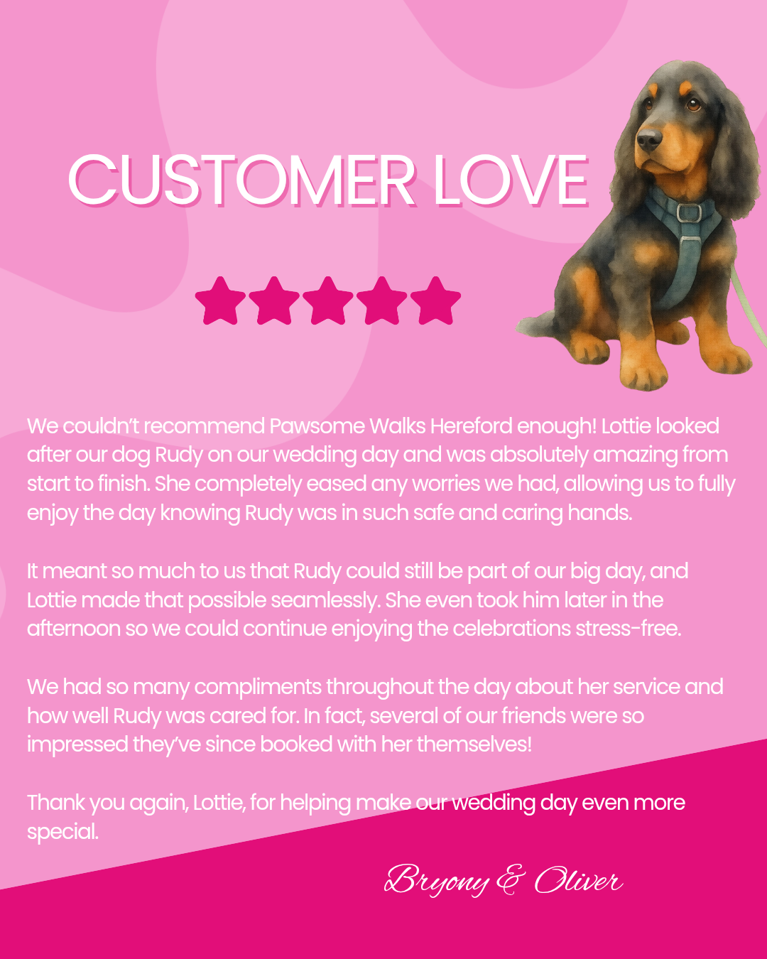 A pink background with a photo of a cute black and tan dog with long ears sitting next to a five-star rating graphic, and a heartfelt thank you message from a couple named Bryony and Oliver praising their dog Rudy.