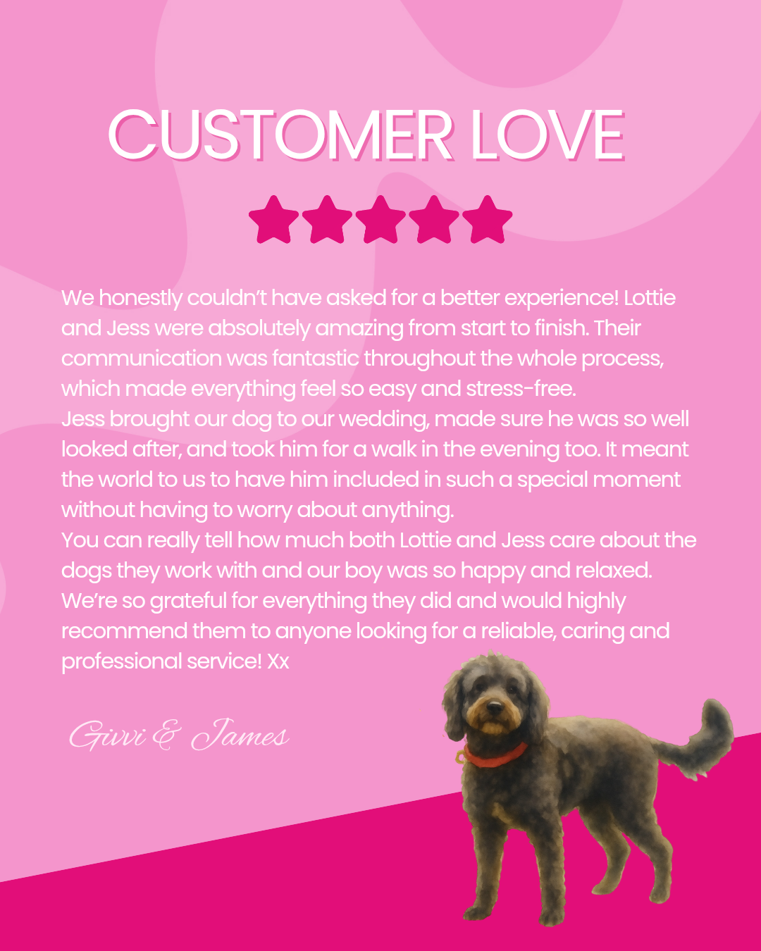 Pink background with five-star customer review and a photo of a small dog at the bottom right corner.