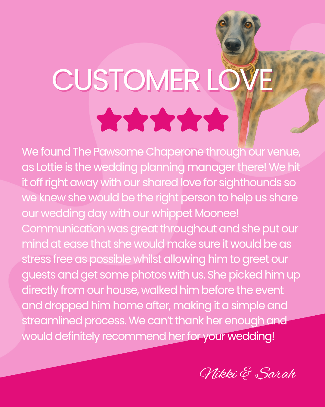 Pink background with a photo of a greyhound dog wearing a red collar, and a five-star review rating. Includes customer testimonial for a dog named Moonee.