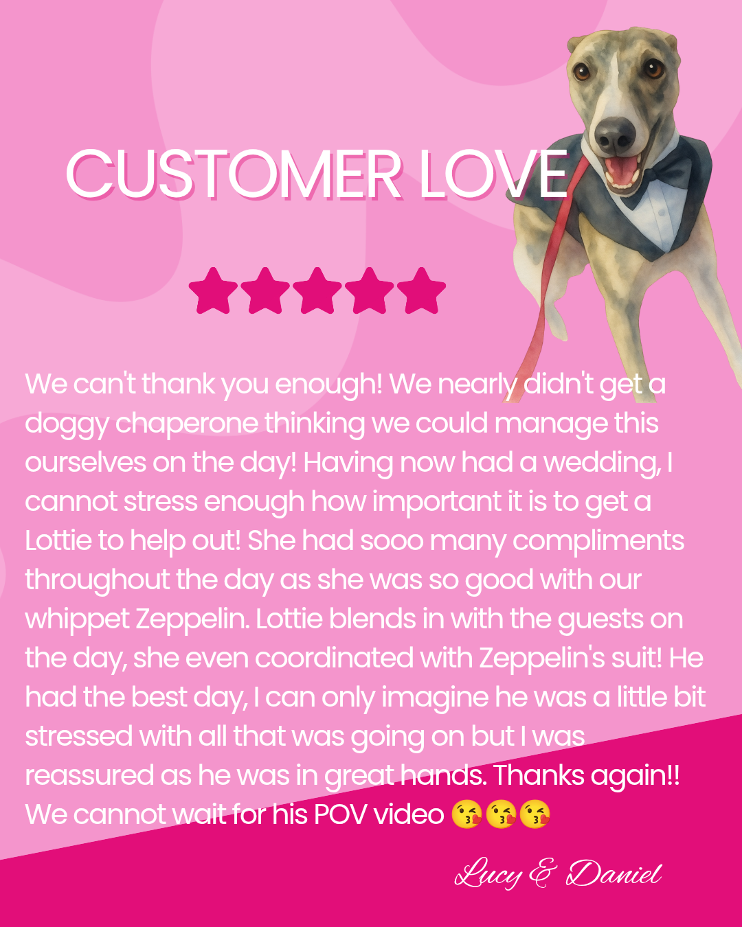 A pink background with a smiling dog dressed in a tuxedo holding a leash, alongside a customer review with a 5-star rating and a thank you message.