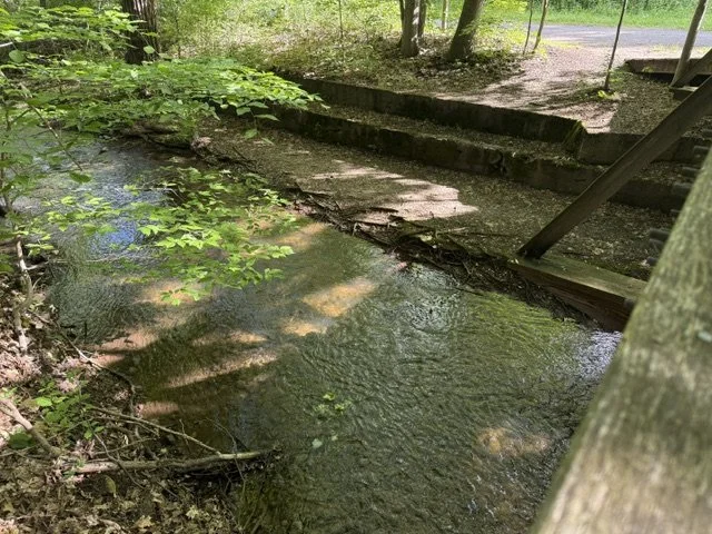 creek steps.jpg