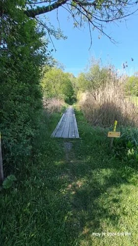 boardwalk.jpg
