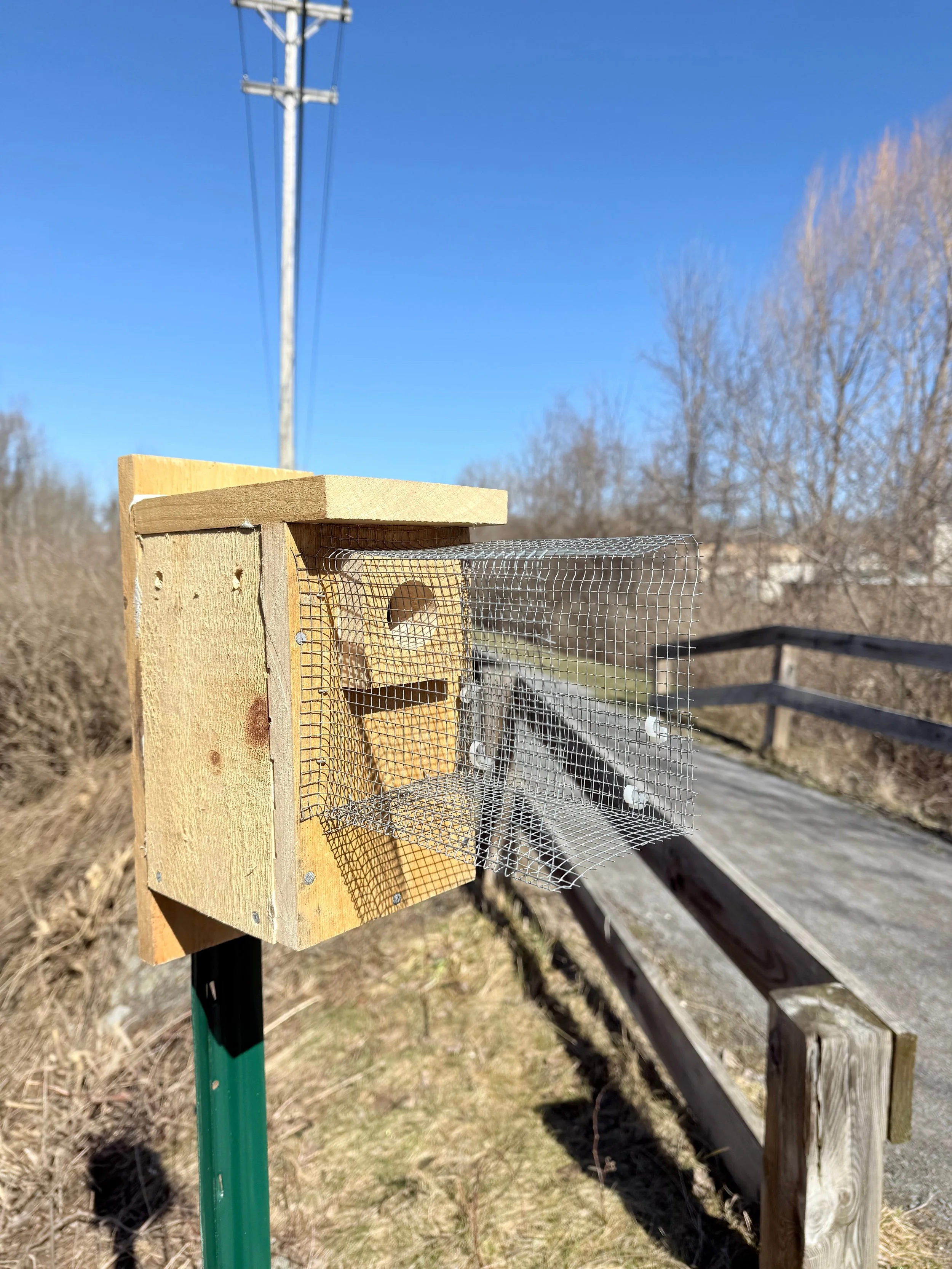 Bird box along the Auburn Rail Trail