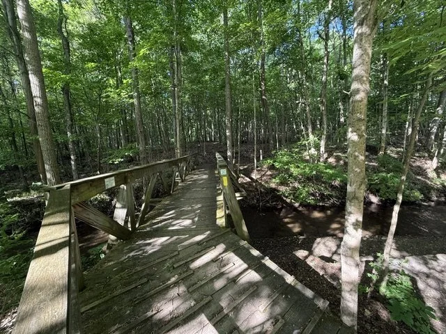 bridge.jpg