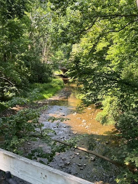 bridge.jpg