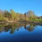 pond.JPG