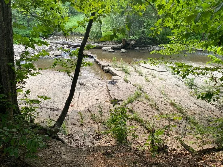 Mud Creek