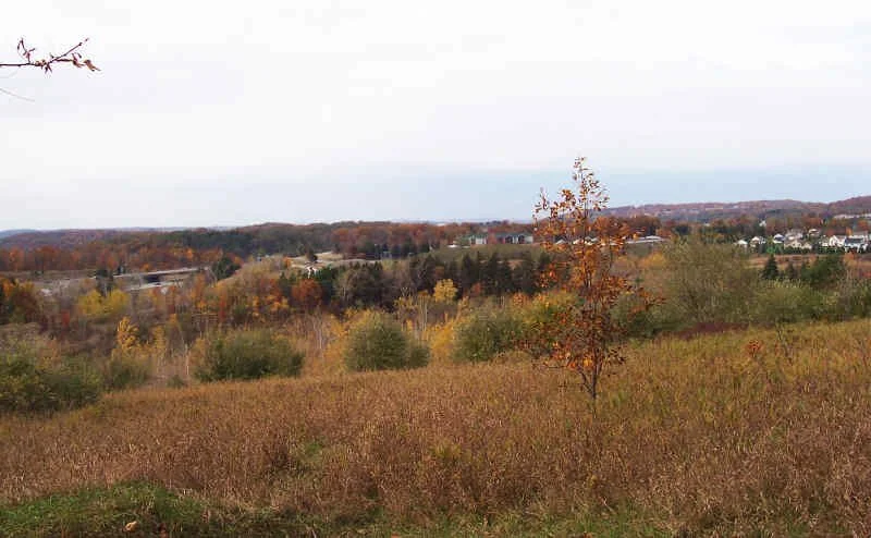 4 view south.jpg