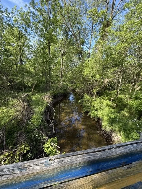 creek.jpg