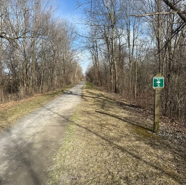 trail.jpeg
