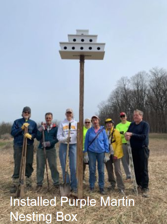 purple martin box.png
