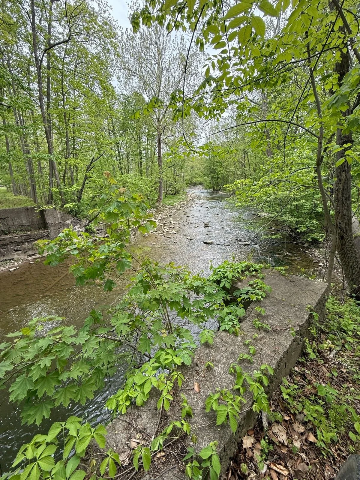 Remains of old trolley bridge over Mud Creek
