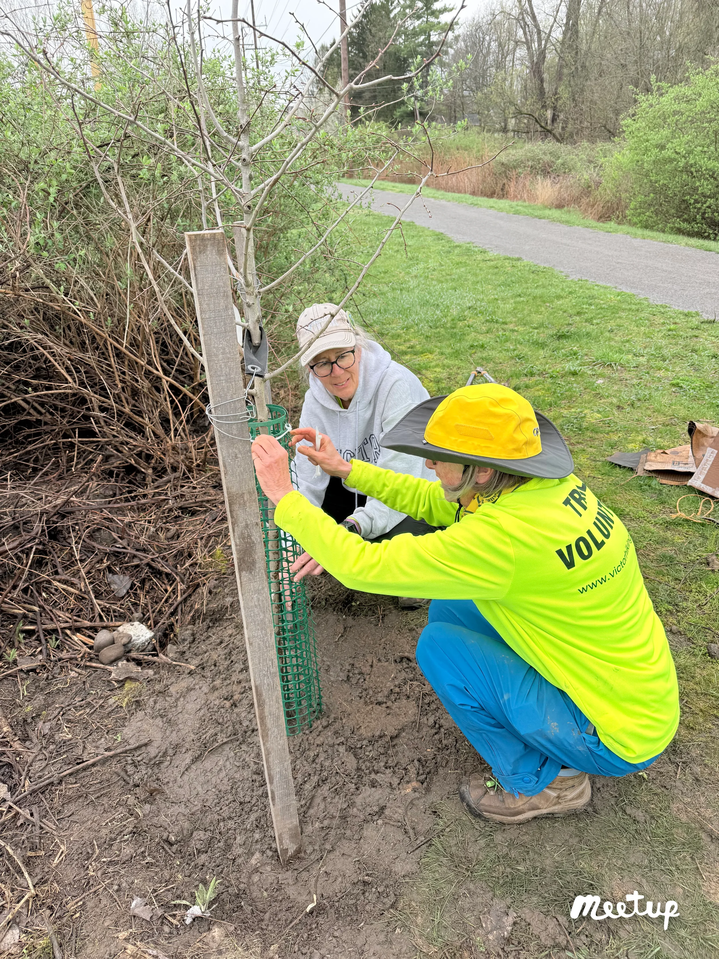 Planting trees along the Auburn Rail Trail