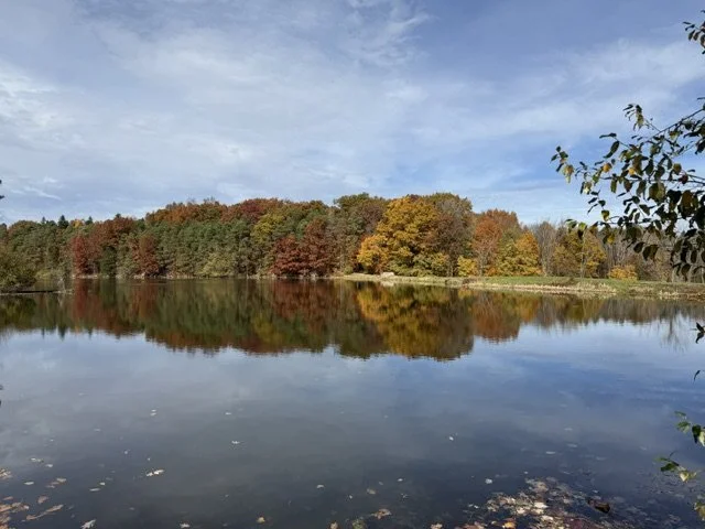fall pond.jpg