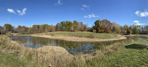 pond.jpg