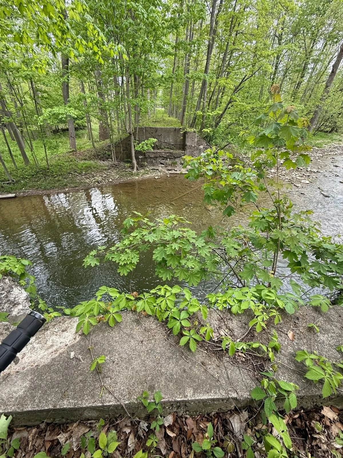 Remains of old trolley bridge over Mud Creek