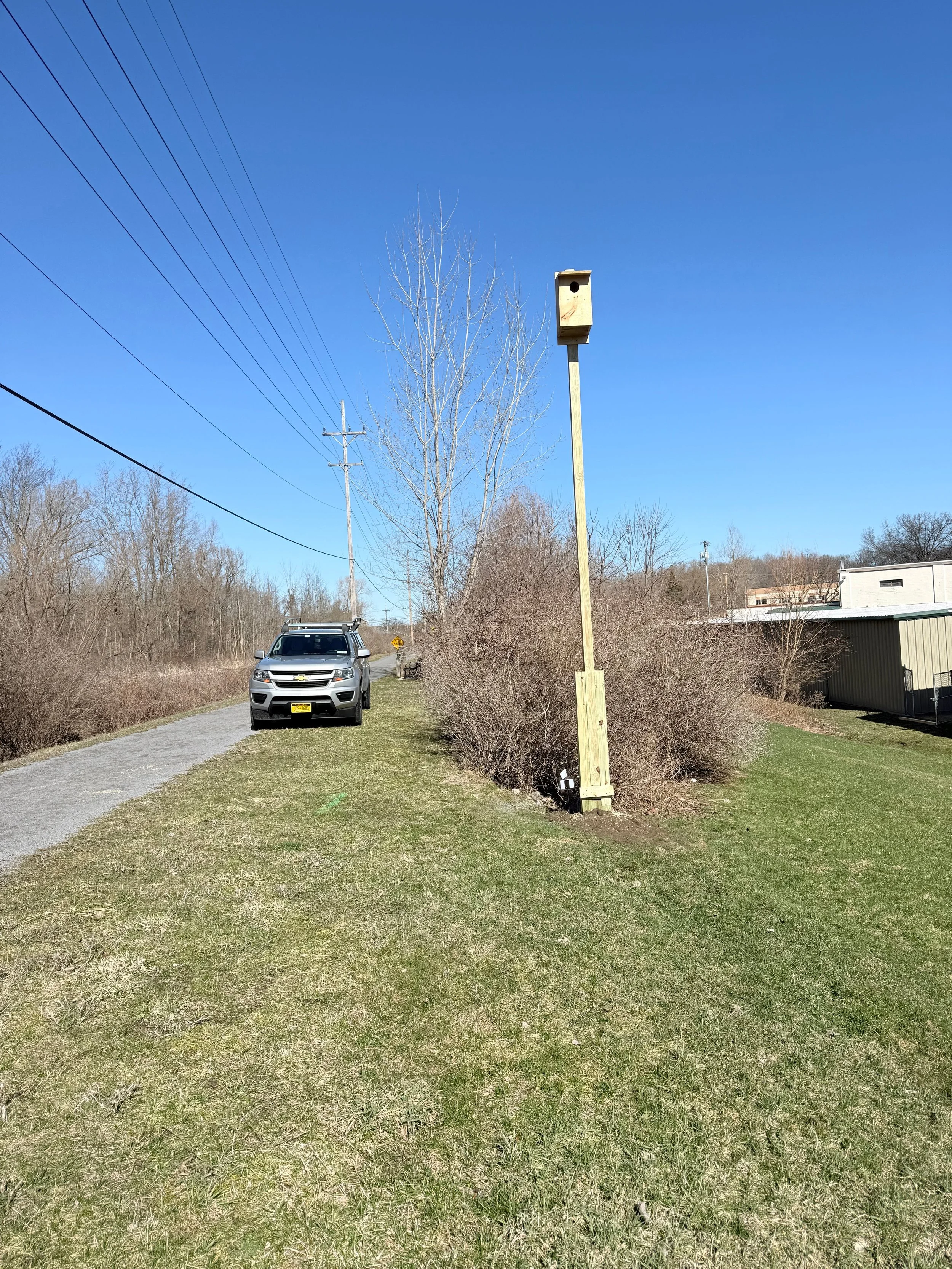 Kestrel box added to the Auburn Rail Trail