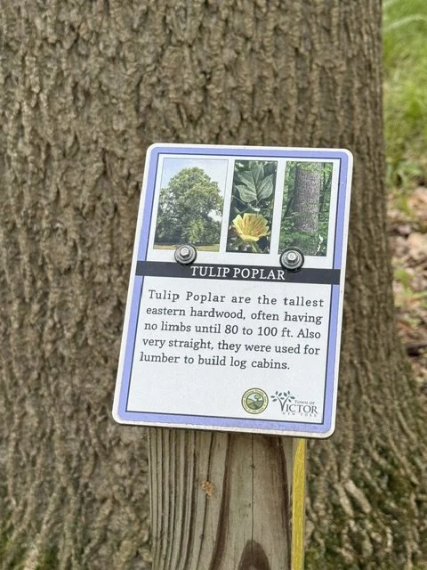 tree ID sign.jpg