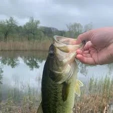 fishing.jpg