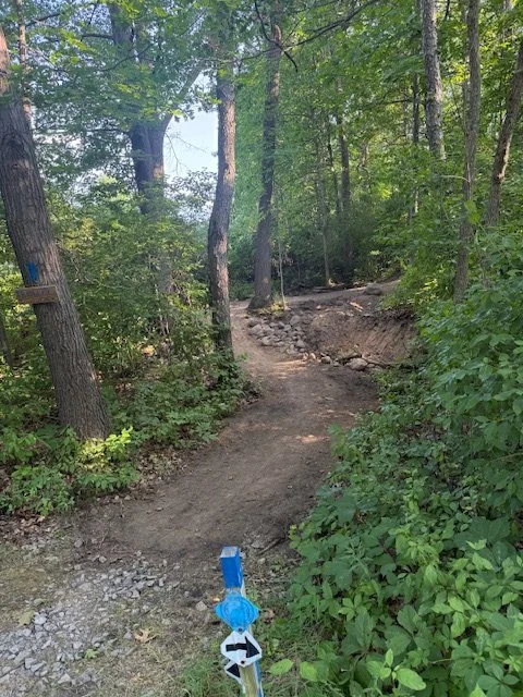switchback.jpg
