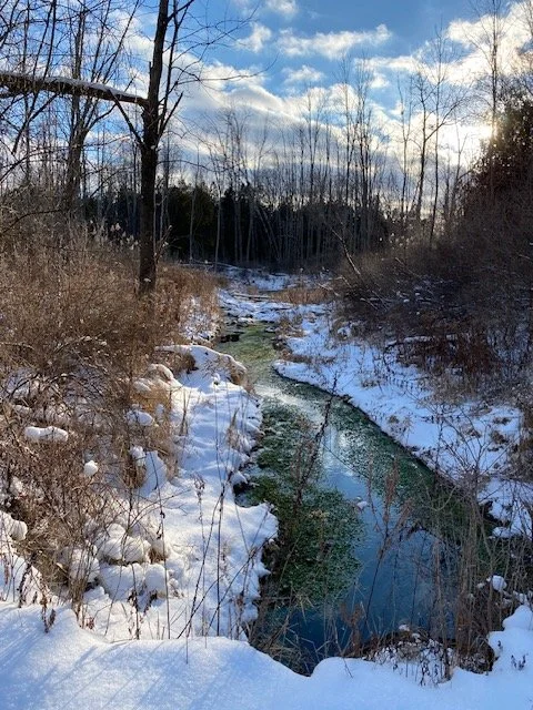 spring in winter.jpeg