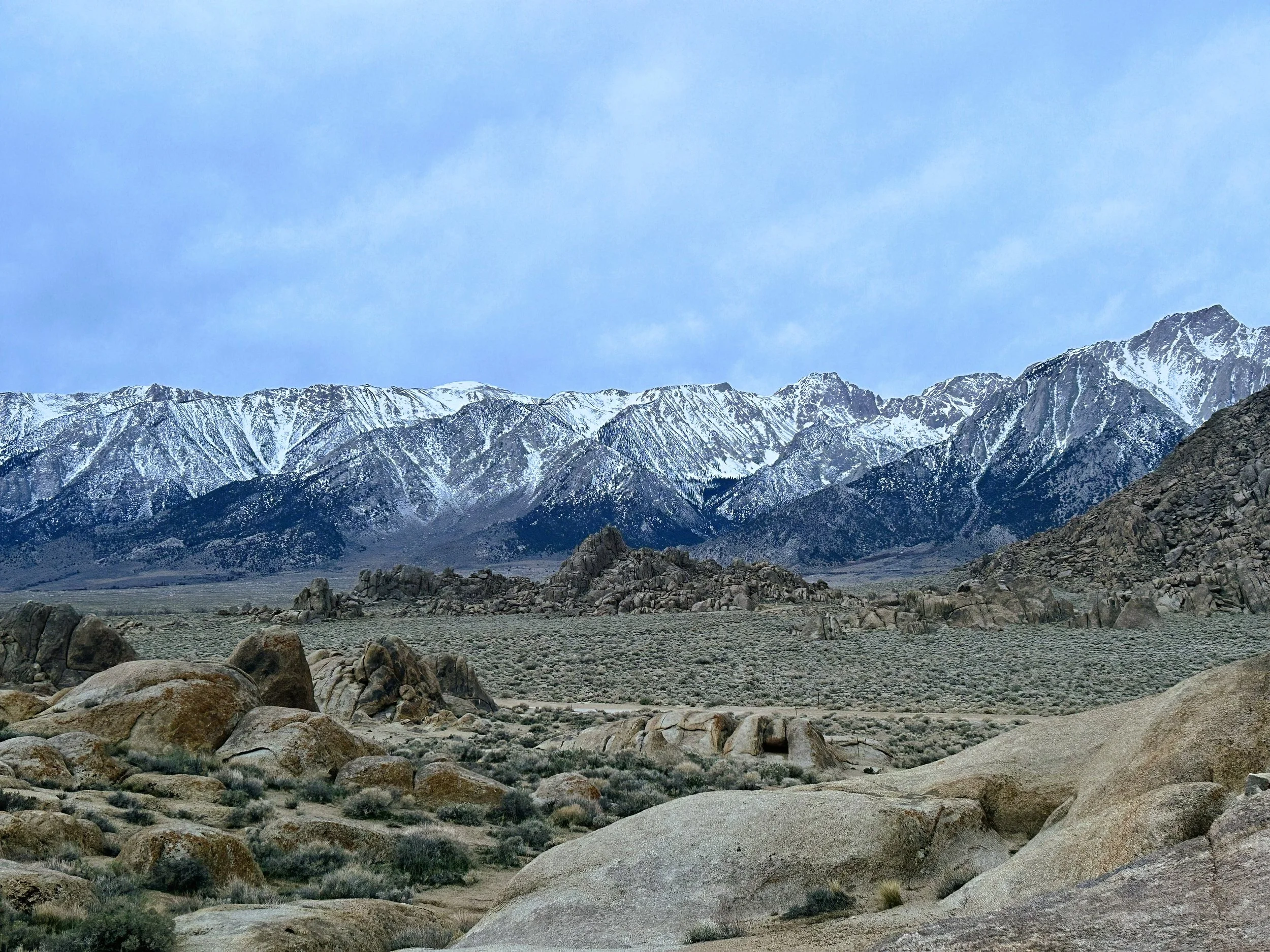 IMG_2186.jpg